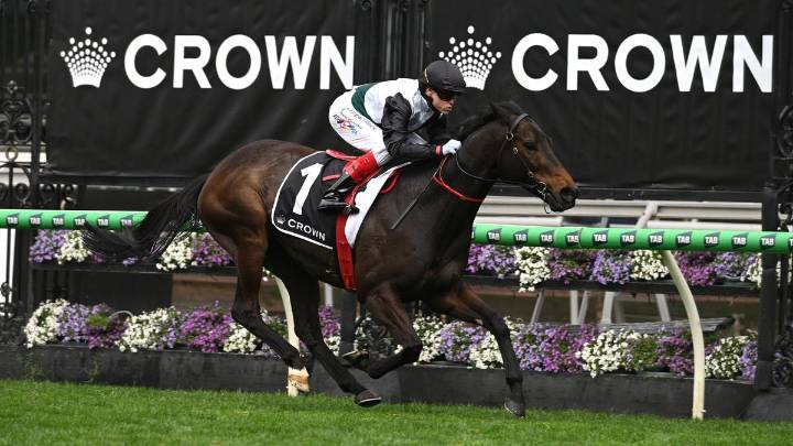 RACING 
                                          Comments
                                        
                                          Premium
                                        Mr Bri