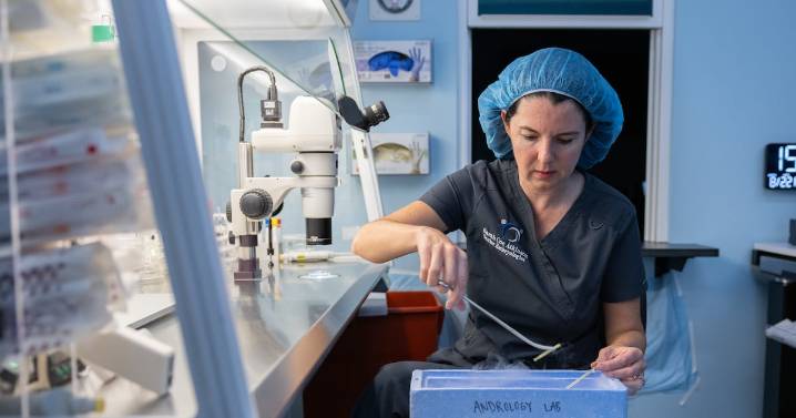 The 'world's oldest baby' is challenging what we think we know about IVF