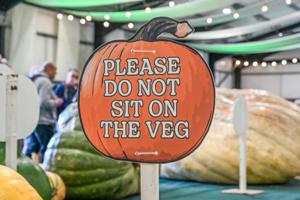 Six new giant vegetable world records broken at seasonal show
