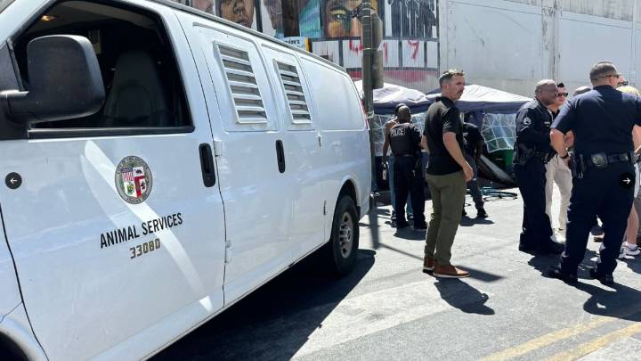 Feds in LA launch animal abuse task force