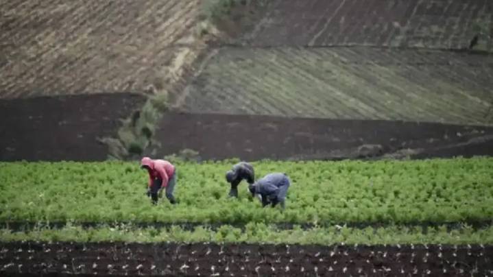 Indignación por el fin de las retenciones cero: “Esta medida fue pensando en el productor ni en la producción”