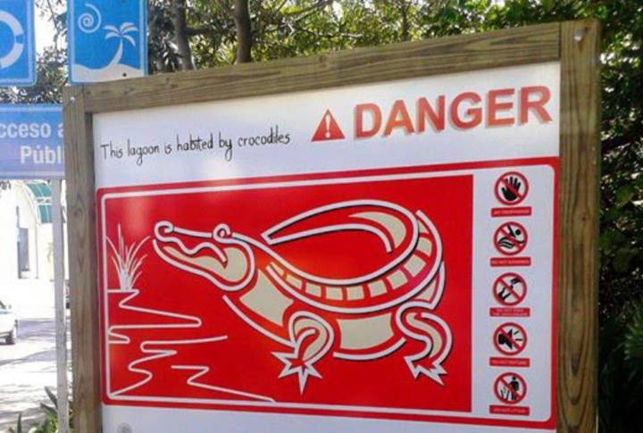 Crecen los reportes de avistamientos de cocodrilos en zonas urbanas de Cancún