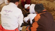 Unidad de Búsqueda con apoyo de ASOFAVIDA recupera en Santander cuerpo que podría corresponder a menor reclutado y desaparecido hace 22 años