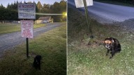North Carolina Rescuers Stunned After Finding A Dog Left At A ‘Do Not Leave Animals’ Sign