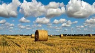 Kentucky horse owners urged to plan ahead for winter due to hay supply uncertainty