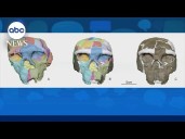 Ancient skull could rewrite human history