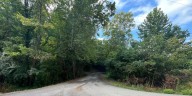 Deputies investigate woman’s death as dog attack; husband questions circumstances
