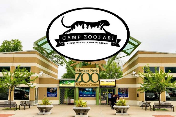 Register for Fall Camp Zoofari 2025