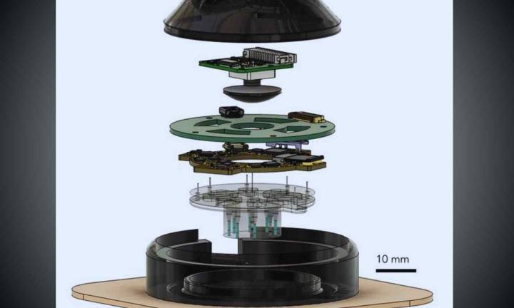 Smart device uses AI and bioelectronics to speed up wound healing process, reveals study