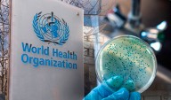 OMS: “Las muertes por cólera aumentaron un 50% en 2024, siendo la cifra más alta en años”