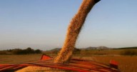 El titular del ARCA destacó la quita temporal de retenciones y dijo que «el mayor beneficiario» fue el campo