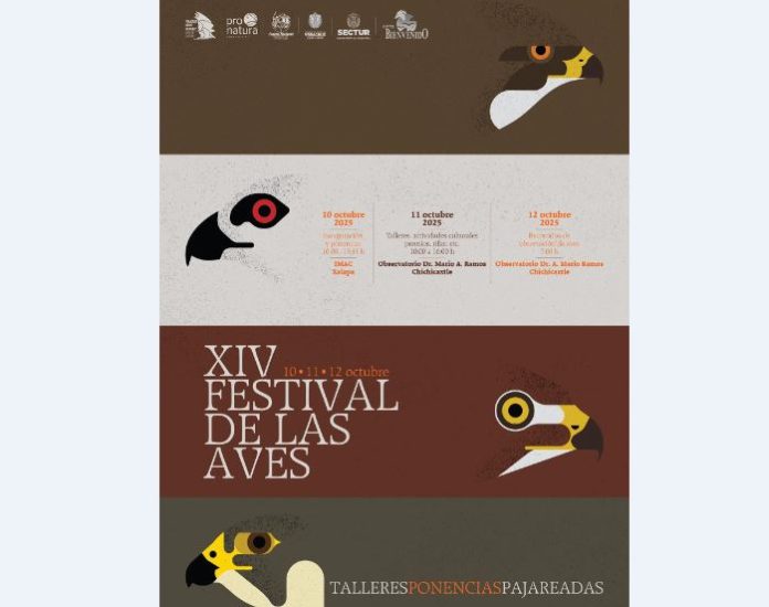 Invitan al Festival de las Aves “Veracruz Río de Rapaces” este octubre en Xalapa