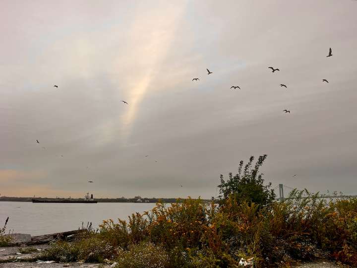 N.Y. weather: Gusty winds and cool temperatures to impact NYC