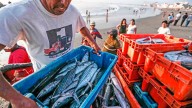 Congreso propone un “Reinfo pesquero” que divide al sector artesanal