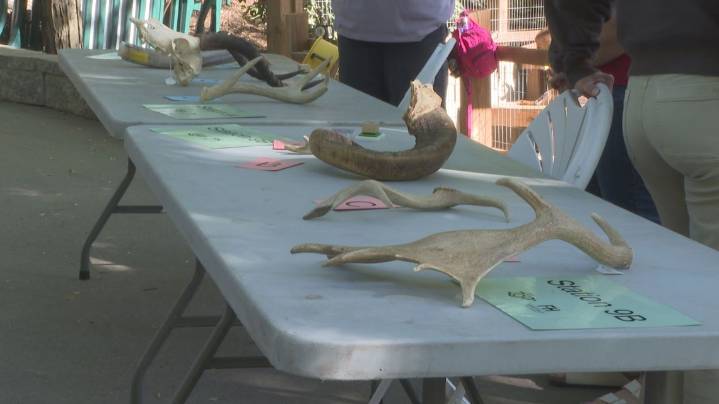 Forest Hills students turn John Ball Zoo into a hands
