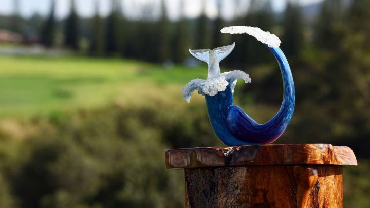 PGA Tour: 2026 season-opening The Sentry tournament forced to move due to Maui drought