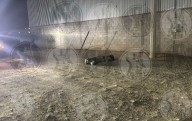 Fueron torturados y estrangulados los dos asesinados en Lote Bravo