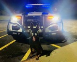 Georgia Man Arrested After Shooting Neighbor’s Dog