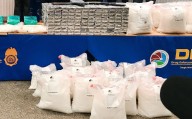 DEA da golpe al Cártel de Sinaloa con más de 600 detenidos y toneladas de drogas incautada