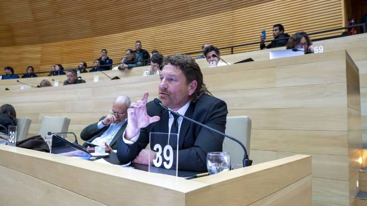 Limia: “La Legislatura refleja el debate nacional”