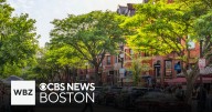 Stores and restaurants planning expansions in Massachusetts
