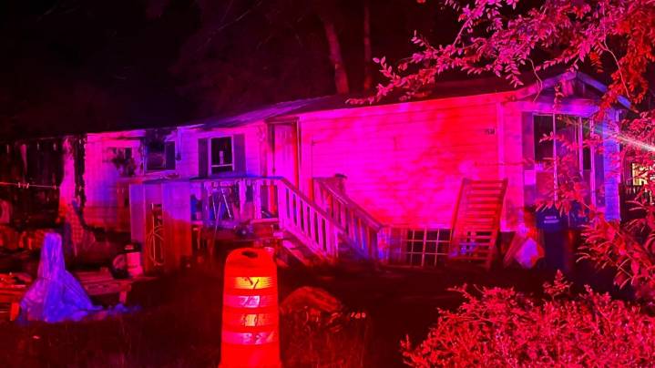 3 dogs revived, man displaced after mobile home fire in Houston County causes serious damage