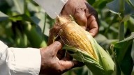 Día Mundial de la Agricultura en Extremadura