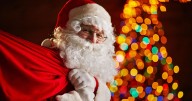 New Santa’s Grotto coming to Kent wildlife park this Christmas
