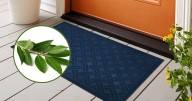 Por qué recomiendan poner una hoja de laurel debajo del tapete de la puerta del hogar