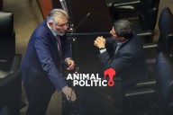 “No podemos dejar que nos coman tiempos”: difieren en Morena discusión abierta a reforma de amparo