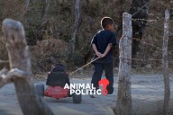 Sheinbaum se rezaga en publicar programa de protección a la infancia; organizaciones exigen difusión