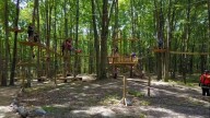 Kalahari Resorts Gorilla Grove offers treetop adventures