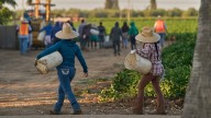 1.2M immigrants are gone from US labor force: preliminary data