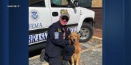 NE-TF1 mourns passing of K-9 approaching 10th birthday