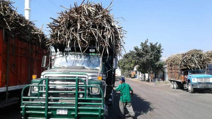 Cierre de importaciones beneficia al azúcar de México, destacan cañeros