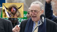 Chuck Schumer Warns Buffalo Hat Guy Will Crawl Out Of Your TV And Kill You If You Watch Tucker's Jan 6 Video