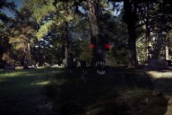 The Horror Stories of Demon's Road in Huntsville