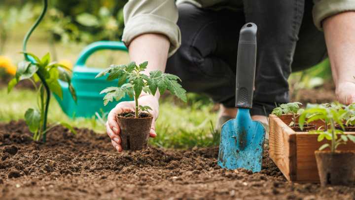 Save Money On Veggie Garden Soil With A Classic Technique (Thanks, Germany)