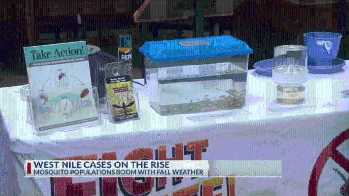 Officials reference higher mosquito count as West Nile cases rise in Kern County