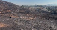 Recovery of conservation site near Murrieta will take time after Keith fire