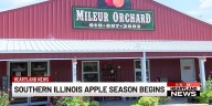 Southern Illinois apple season begins
