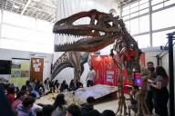 Mendociencia 2025: la feria de la UNCuyo con estaciones interactivas para estudiantes y público general