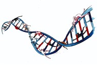The cultification of science