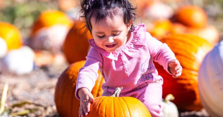 Entertainment Calendar:  Sept. 24 