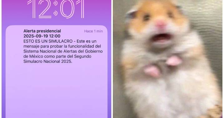 Segundo Simulacro Nacional 2025: Así sonó la alerta sísmica en celulares; redes se inundan de memes