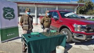 Sujetos ocultaban camioneta robada en estacionamiento de supermercado en Chillán.