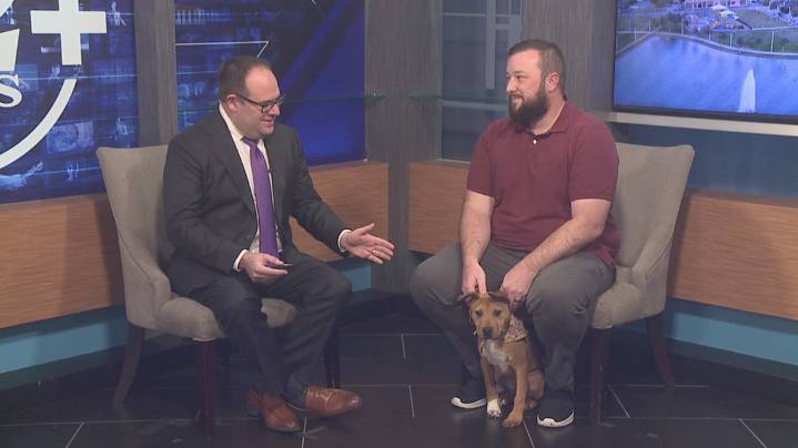 Adorable Four month-old puppy among others available for adoption at Humane Society of Southeast Texas