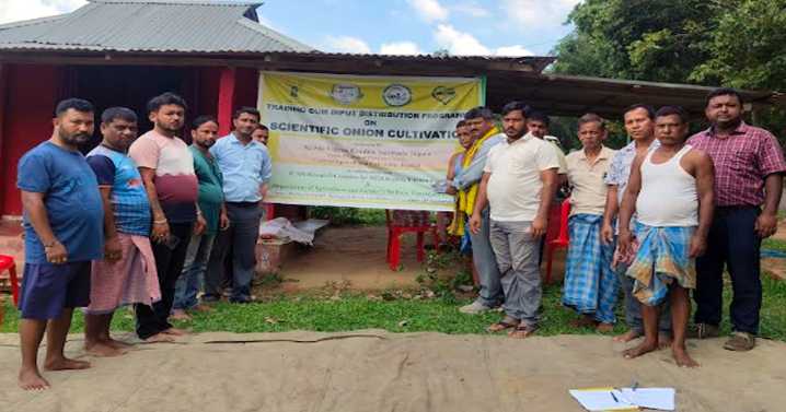 KVK, Sepahijala holds a Training cum input Distribution programme on scientific onion cultivation