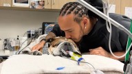 Lewis Hamilton pide «oraciones y apoyo» a sus fans después de que su perro entre en coma: «No sabemos si va a despertar»