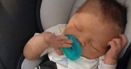 Horror as one-week-old baby mauled to death by husky